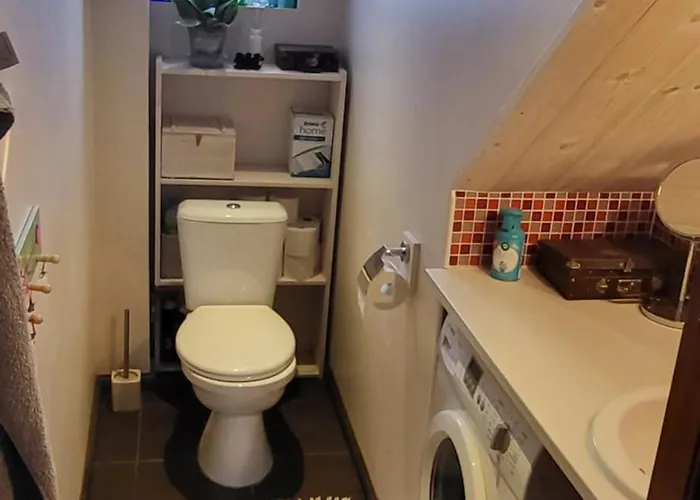 Private House With A Garden In Quiet Area In Kristiine 塔林